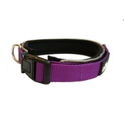 Liopard - Liopard Padded Nylon Dog Collar – Purple