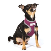 Doodlebone - Reflective Airmesh Dog Harness – Purple