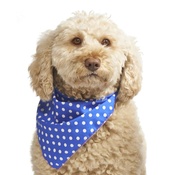 Pet Pooch Boutique - Blue Polka Dot Dog Bandana