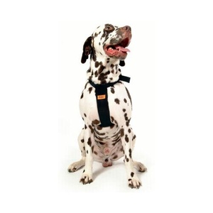 RAC Dog Car Harness