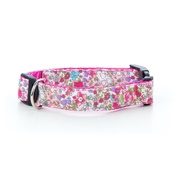 Pet Pooch Boutique - Teddy Dog Collar