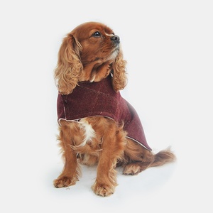 Frisbee Tweed Dog Coat