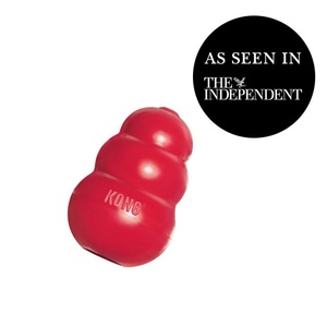 The Kong Toy