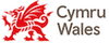 Visit Wales Partnership