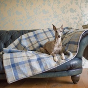 The Lounging Hound - Waterproof Wool Throw - Azure