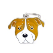 My Family - American Staffordshire Bull Terrier Engraved ID Tag