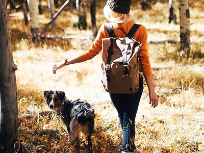 Dog-Friendly Guide to the Cotswolds