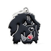 My Family - Newfoundland Engraved ID Tag