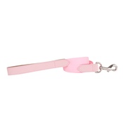 Teddy Maximus - "The Melody" Pink Webbing & Leather Lead
