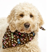 Pet Pooch Boutique - Woof Woof Dog Bandana