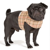 Mutts & Hounds - Balmoral Tweed Dog Harness