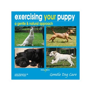 Exercising your Puppy, A Gentle & Natural Approach