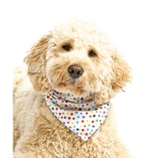 Pet Pooch Boutique - Multi Stars Dog Bandana