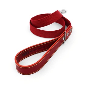 Red Cotton Webbing Dog Lead