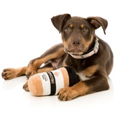 FuzzYard - Puppuccino Coffee Dog Toy