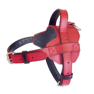 Colour Fusion Leather Harness – Red