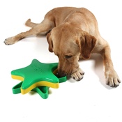 Outward Hound - Star Spinner Interactive Treat Game