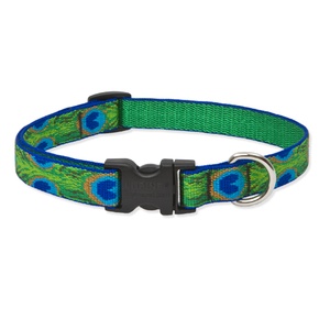 Tail Feathers Lupine Dog Collar
