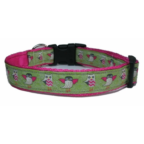 owl dog collar
