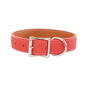 Auburn Leathercrafters - Tuscany Leather Dog Collar – Orange