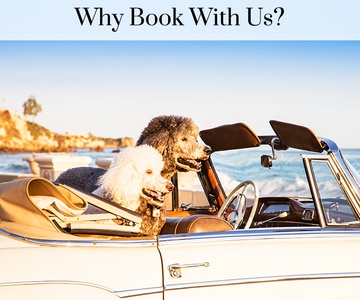 11 reasons to book with us
