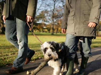 Top 10 Dog-friendly Walking Holidays