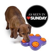Outward Hound - Mini Paw Hide Treat Hiding Interactive Dog Game