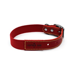 Red Cotton Webbing Dog Collar