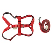 Bowl&Bone Republic - Active Dog Harness & Lead Set - Red