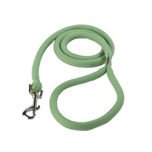 Braided Dog Lead – Spring Green