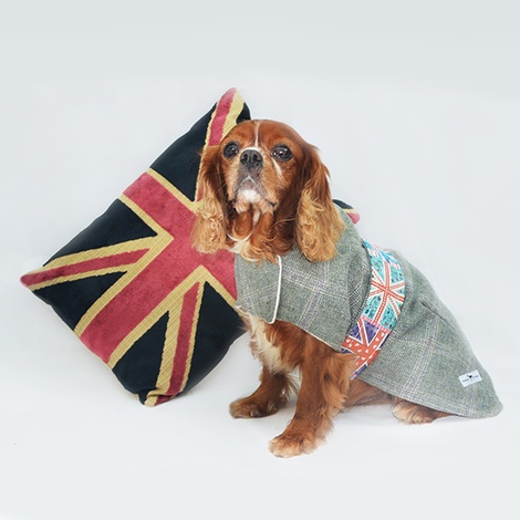 tweed dog jacket