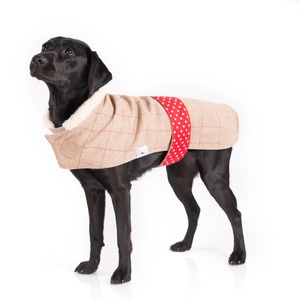 Barnaby Tweed Dog Coat