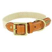 Clementine est. Dogs - Astor Webbing Dog Collar – Orange