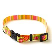 Yellow Dog - Green Bouquet Collar with Stripes