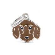 My Family - Wire-Haired Dachshund Engraved ID Tag – Brown
