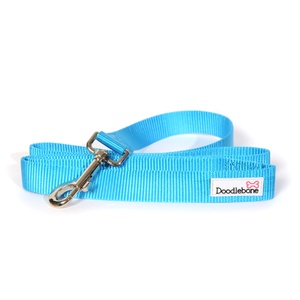 Bold Dog Lead – Cyan