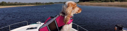 Dog-Friendly Boating Holidays