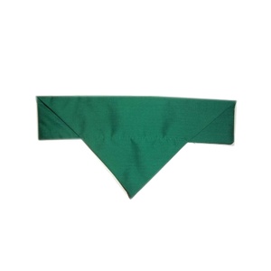 Irish Green Cat And Dog Bandana