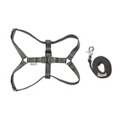 Bowl&Bone Republic - Active Dog Harness & Lead Set - Grey