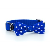 Pet Pooch Boutique - Blue Polka Bowtie Dog Collar 1" Width