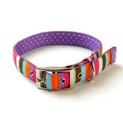 Yellow Dog - Multi-Stripe on Purple Polka Collar Uptown Range