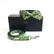 Percy & Co - Collar, Bow Tie and Lead Set - Alderley
