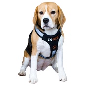 RAC - RAC Advanced Dog Car Harness