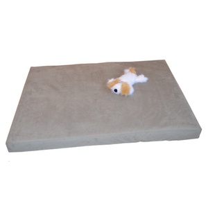 Foam Dog Bed - Sage
