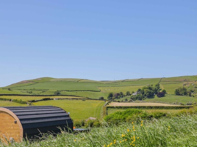 Holly, Cumbria