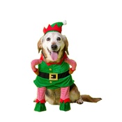 House of Paws - Christmas Elf Fancy Dress