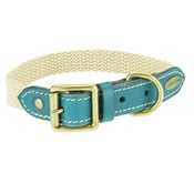 Clementine est. Dogs - Astor Webbing Dog Collar – Blue