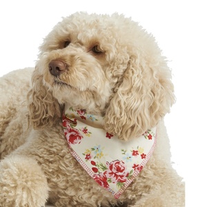 Cream Vintage Primrose Dog Bandana