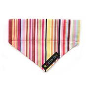 Ditsy Pet - Padstow Slip-on Dog Bandana