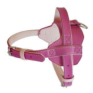 Colour Fusion Leather Harness – Pink